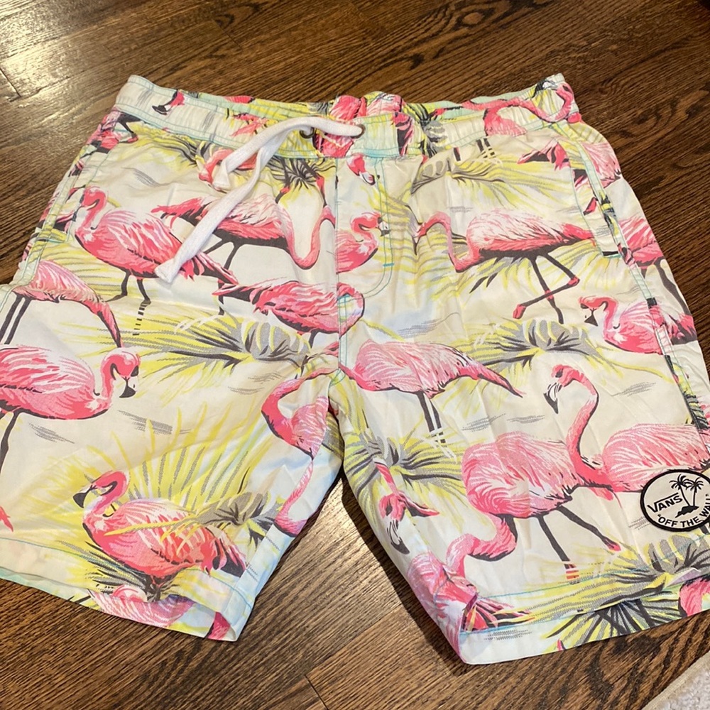 Vans Unlined swim shorts